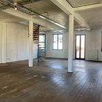 Rent 2 bedroom apartment of 220 m² in Antwerp