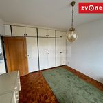Rent 3 bedroom apartment of 77 m² in Zlín