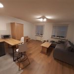 Rent 1 bedroom apartment of 36 m² in Poznan