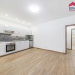 Rent 2 bedroom apartment of 40 m² in Prostějov