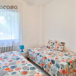 Rent 2 bedroom apartment of 80 m² in Riccione