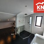 Wynajmij 4 sypialnię apartament z 150 m² w Kleszczów