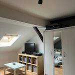 Rent 1 bedroom apartment of 38 m² in Halle