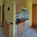 Rent 2 bedroom apartment of 60 m² in genoa