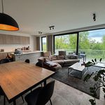 Rent 1 bedroom apartment in Zedelgem