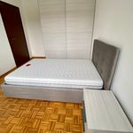 Rent 4 bedroom house in Milan