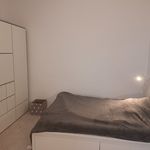 Rent 2 bedroom apartment of 41 m² in Magdeburg
