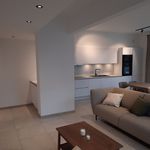 Rent 4 bedroom apartment of 40 m² in Namur