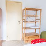 Rent a room of 90 m² in Mentana
