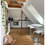 Miete 1 Schlafzimmer wohnung von 48 m² in Budenheim