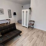 Rent 1 bedroom apartment of 37 m² in Łódź