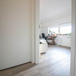 Kamer van 110 m² in Zaandam
