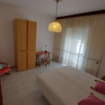 Rent a room of 90 m² in Perugia