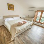 Rent 1 bedroom house of 16 m² in Viterbo