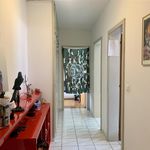 Rent 2 bedroom apartment of 58 m² in Ticino