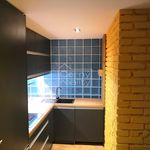 Rent 3 bedroom apartment of 79 m² in Pardubice