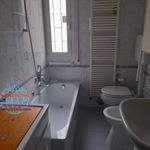 Rent 3 bedroom apartment of 70 m² in Bologna