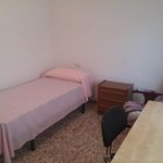 Rent 7 bedroom apartment in Murcia
