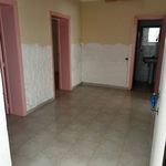 Rent 2 bedroom apartment of 60 m² in Taranto