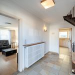 Rent 3 bedroom house of 157 m² in Mol