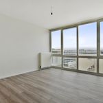 Rent 2 bedroom apartment of 155 m² in Amsterdam