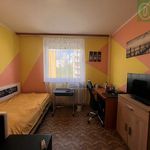 Rent 4 bedroom apartment of 73 m² in Chrudim
