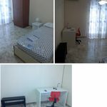 Affitto 3 camera appartamento in Catania