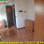 Monolocale di 40 m² a Pavia
