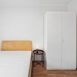 Rent 2 bedroom apartment in Graz