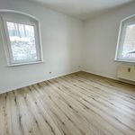 Rent 1 bedroom apartment of 45 m² in Schwarzenberg/Erzgebirge