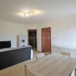 Affitto 4 camera appartamento di 80 m² in Montepulciano