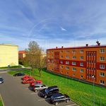 Rent 1 bedroom apartment of 56 m² in Habartov