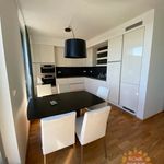 Rent 5 bedroom apartment of 137 m² in Praha