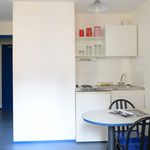 Rent 1 bedroom apartment of 255 m² in Lyon