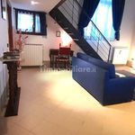 Rent 3 bedroom apartment of 72 m² in Venezia