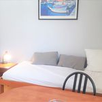 Rent 1 bedroom apartment of 21 m² in Avignon