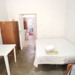Rent 1 bedroom apartment of 45 m² in Montepaone