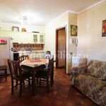 Rent 3 bedroom house of 102 m² in Campofelice di Roccella