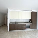 Rent 4 bedroom apartment of 100 m² in Lugano