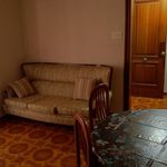 Rent 4 bedroom apartment of 80 m² in Alicante/Alacant