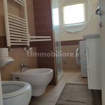 Affitto 3 camera appartamento di 70 m² in Alba Adriatica