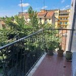 Rent 5 bedroom apartment of 185 m² in Mantova