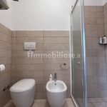 Rent 2 bedroom apartment of 55 m² in Riccione