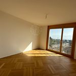 Rent 4 bedroom house in Lausanne