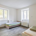 Rent 1 bedroom apartment of 16 m² in Praha