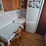 Rent 3 bedroom apartment of 74 m² in Číhošť