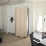 Rent 12 bedroom apartment in Valencia