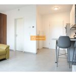 1 chambre appartement de 36 m² à Luxembourg