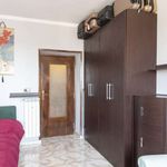 Rent a room of 108 m² in Roma
