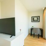 Rent 3 bedroom apartment of 79 m² in Wien